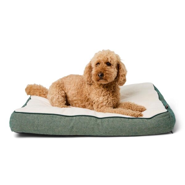 Wainwright's Self Heating Plush Dog Mattress Green Wainwright's Self Heating Plush Dog Mattress Green